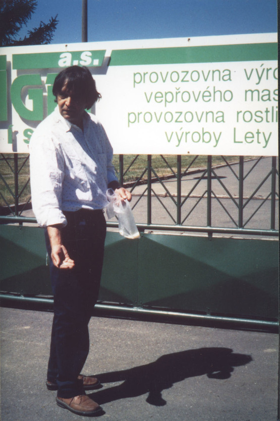 Alfred Ullrich, _Pearls before Swine_, 2000, photo (with thanks to Barbara Scotch)